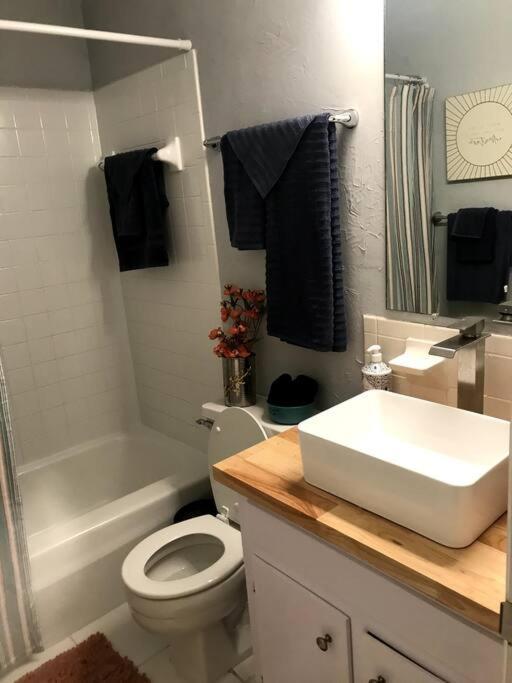 Cheerful 3 Bedroom 2ba In Great Neighborhood! Jacksonville